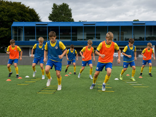 Hurtige føder.jpg